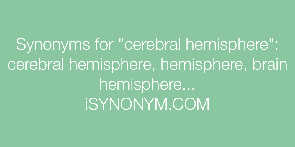 Synonyms cerebral hemisphere