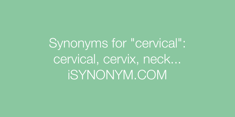Synonyms cervical