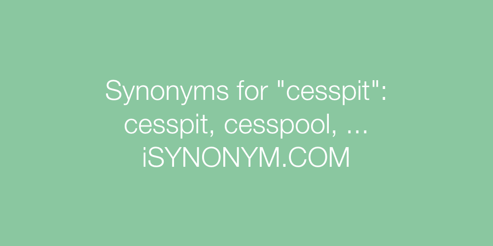 Synonyms cesspit