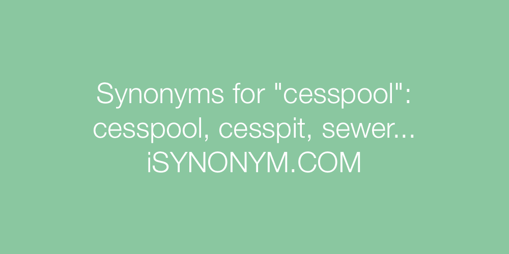 Synonyms cesspool