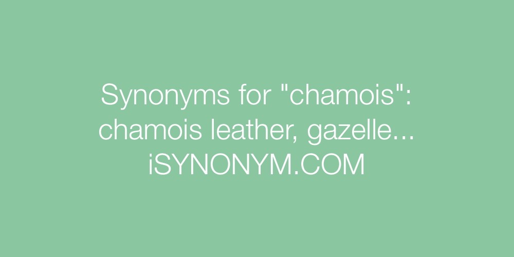 Synonyms chamois