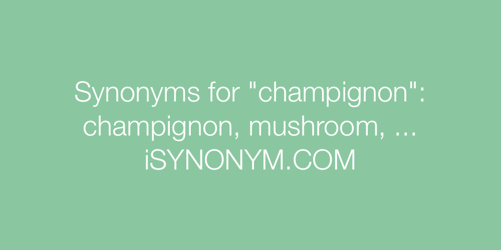 Synonyms champignon