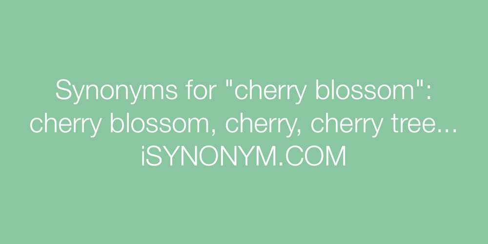 Synonyms cherry blossom