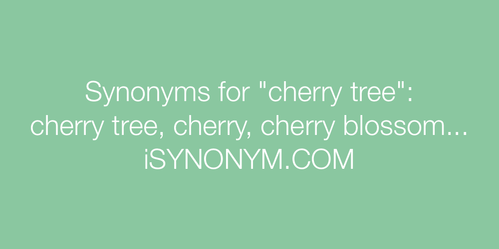 Synonyms cherry tree