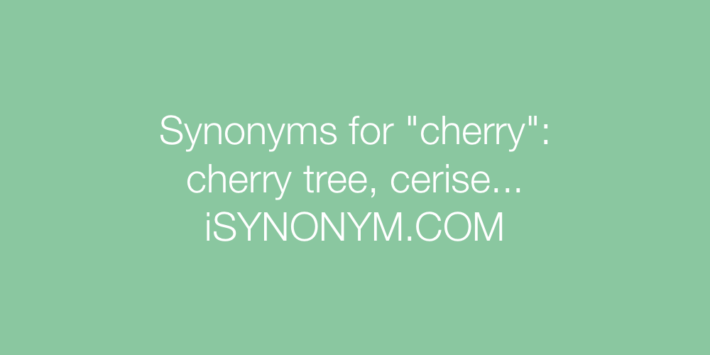 Synonyms cherry