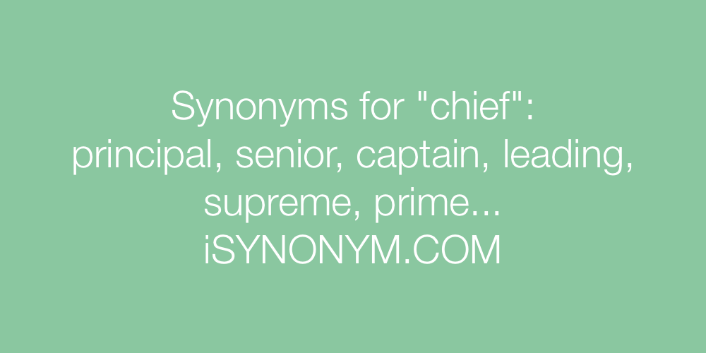 Synonyms chief