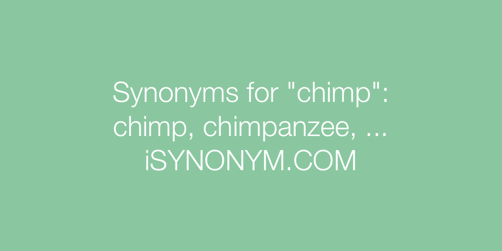 Synonyms chimp
