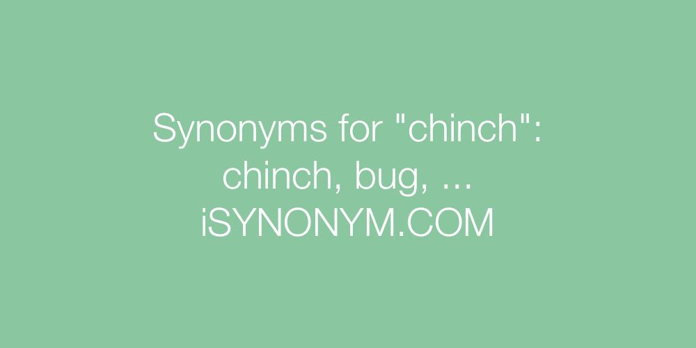 Synonyms chinch