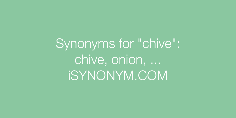 Synonyms chive