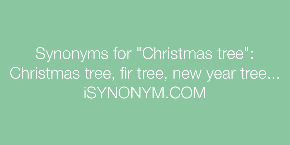 Synonyms Christmas tree