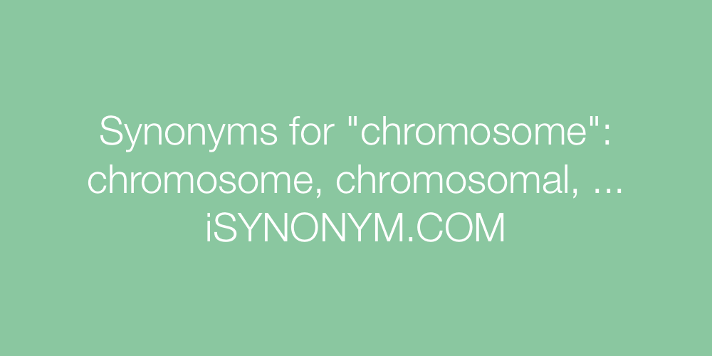 Synonyms chromosome