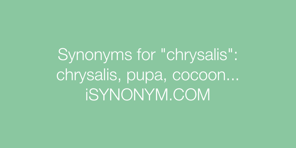 Synonyms chrysalis