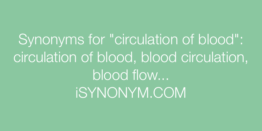 Synonyms circulation of blood