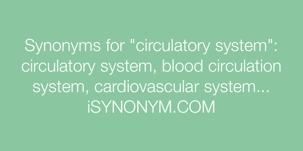 Synonyms circulatory system