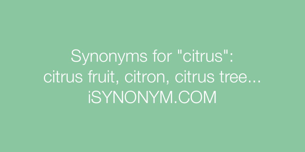 Synonyms citrus