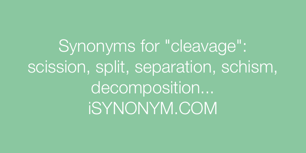 Synonyms cleavage