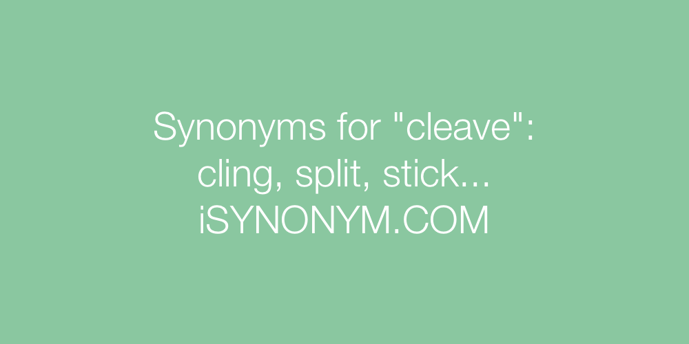 Synonyms cleave