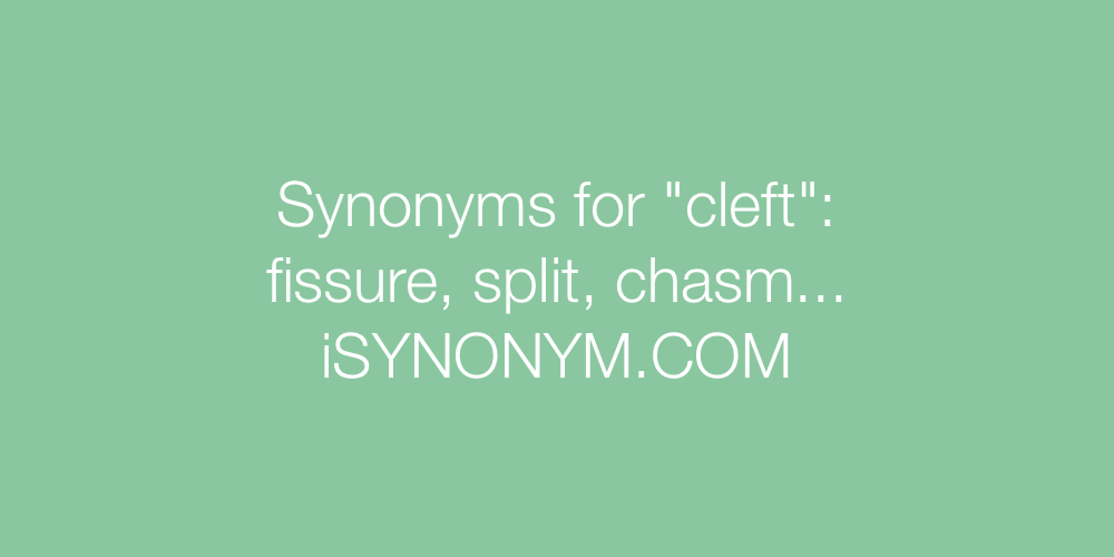 Synonyms cleft