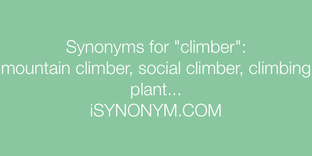Synonyms climber