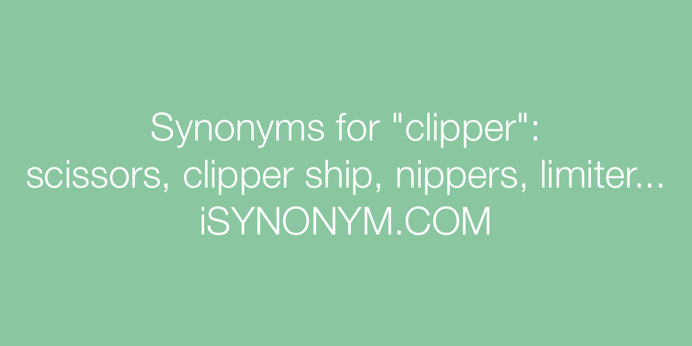 Synonyms clipper