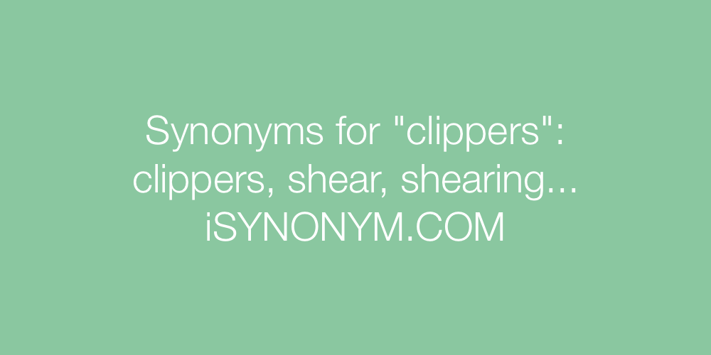 Synonyms clippers