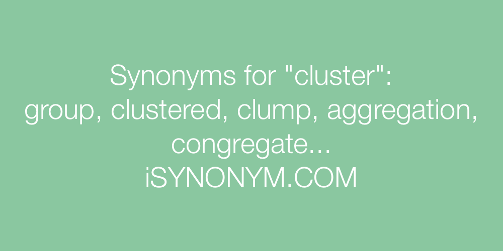 Synonyms cluster