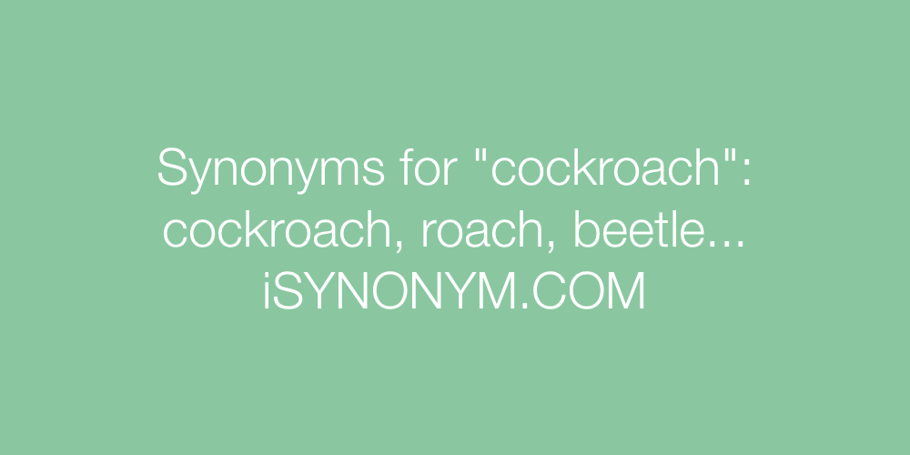 Synonyms cockroach