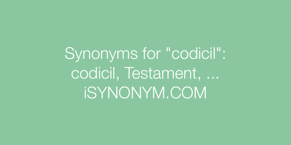 Synonyms codicil