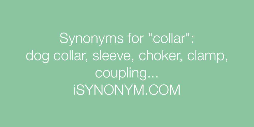 Synonyms collar