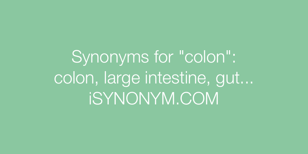 Synonyms colon