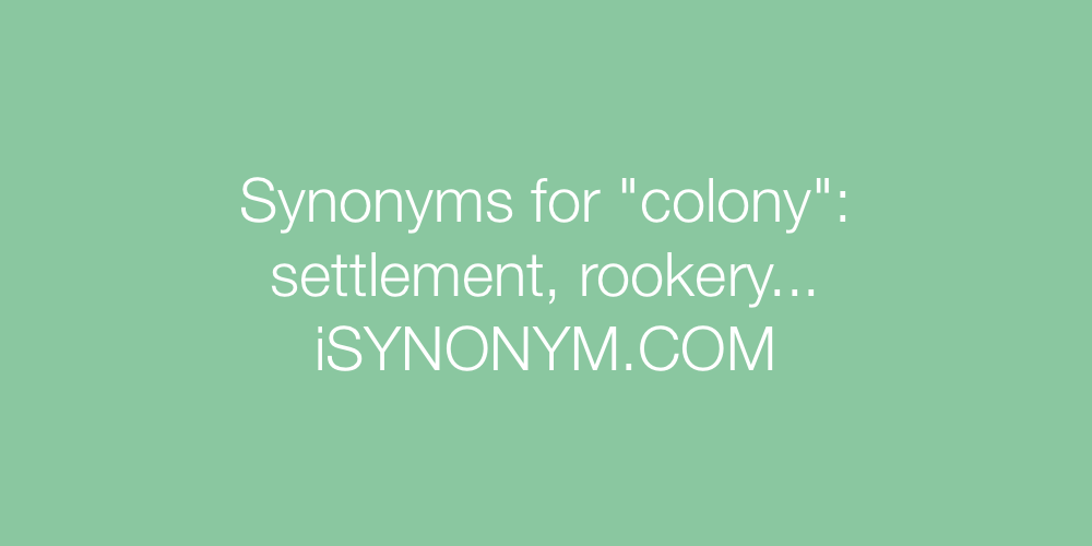 Synonyms colony