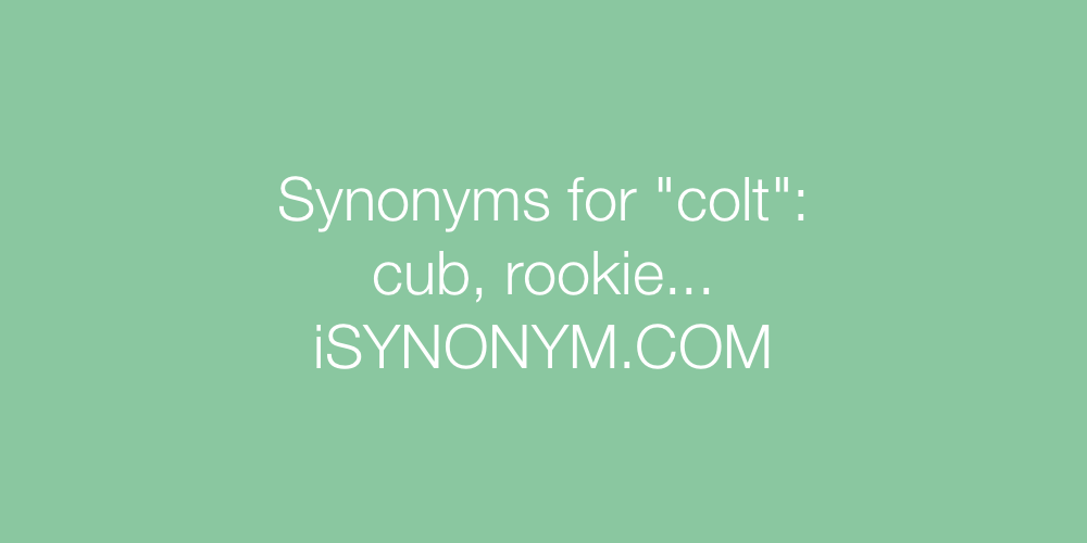 Synonyms colt
