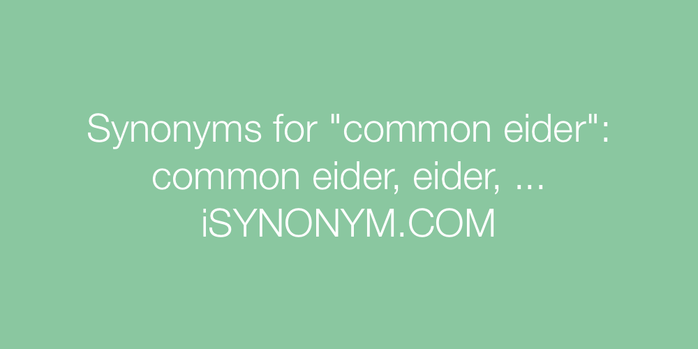 Synonyms common eider