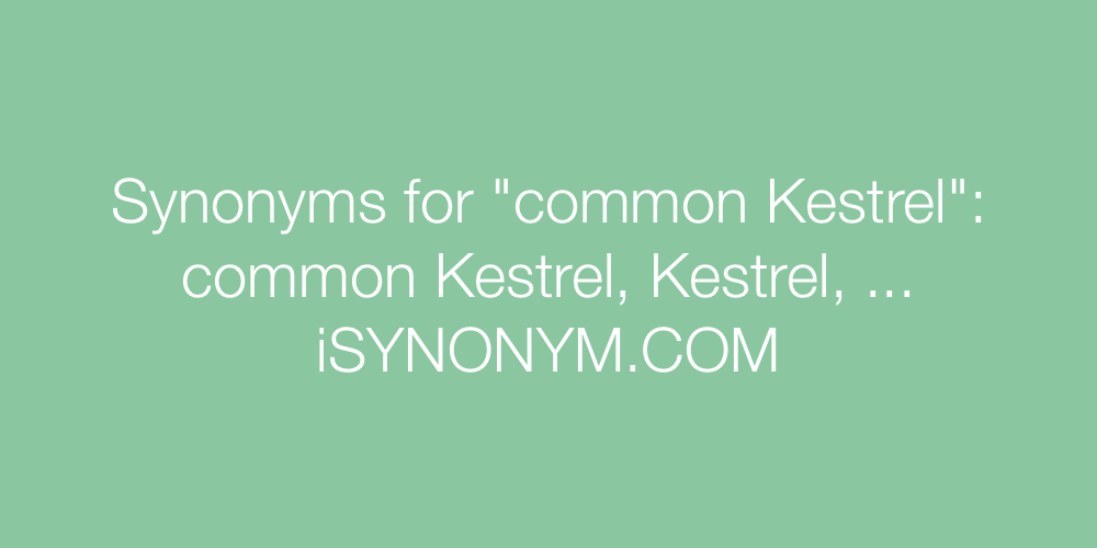 Synonyms common Kestrel