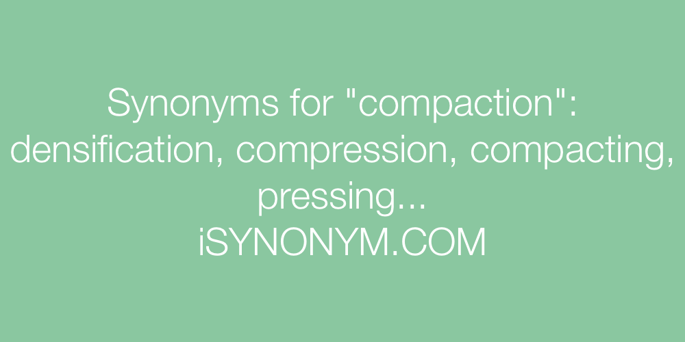 Synonyms compaction