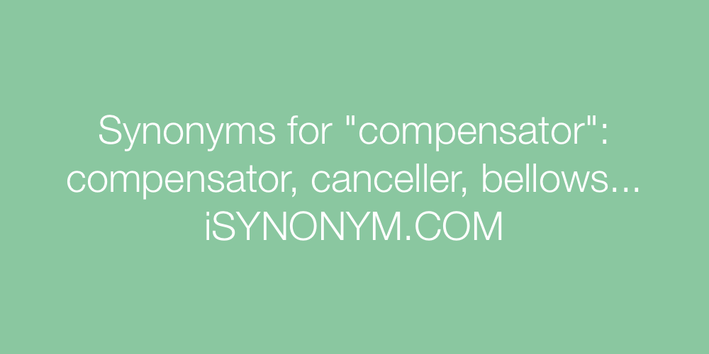 Synonyms compensator
