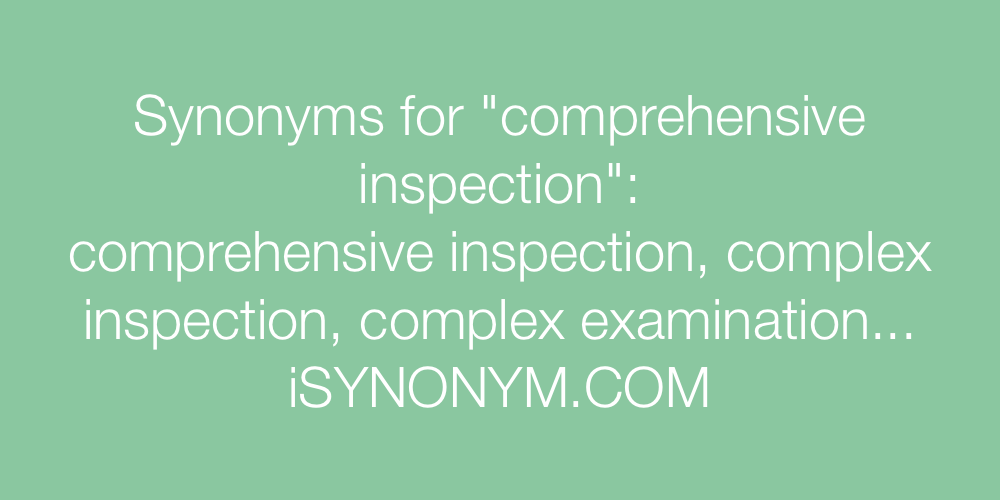 Synonyms comprehensive inspection