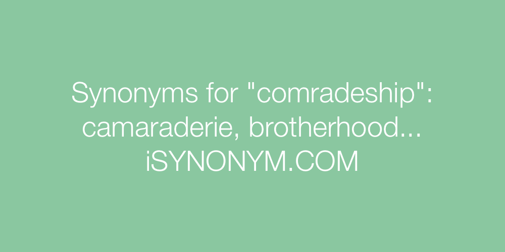 Synonyms comradeship