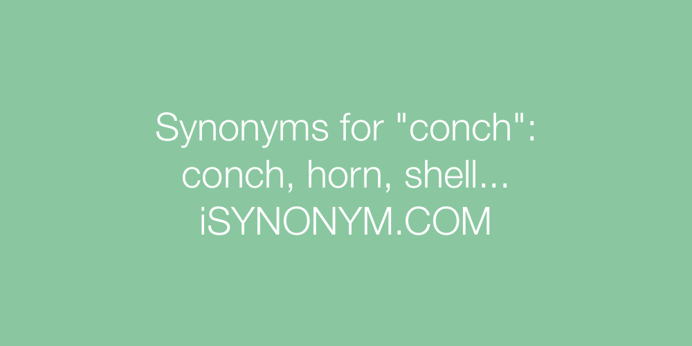Synonyms conch