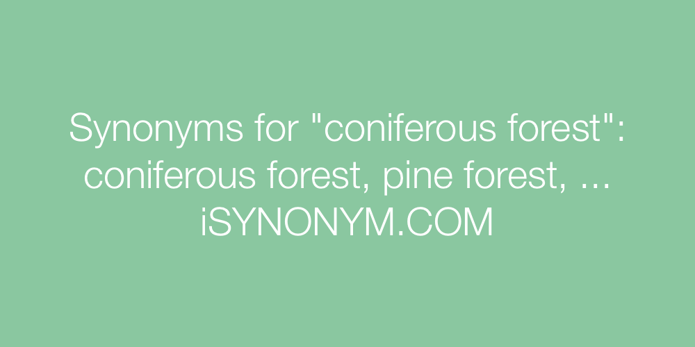 Synonyms coniferous forest