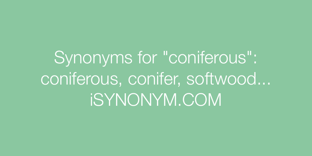 Synonyms coniferous