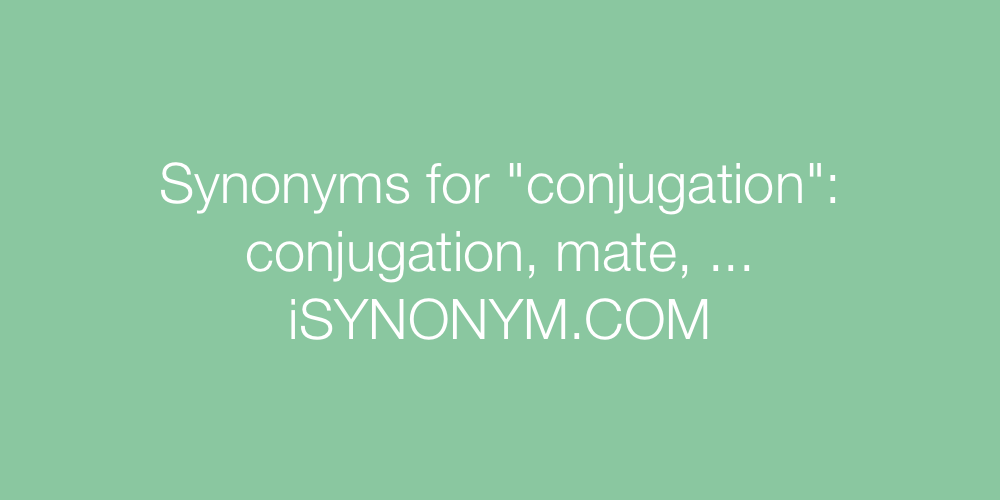 Synonyms conjugation