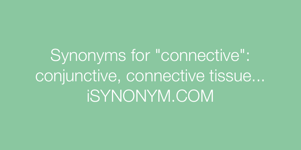 Synonyms connective