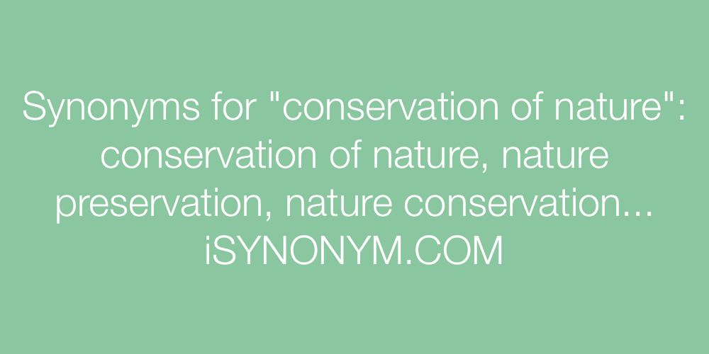 Synonyms conservation of nature