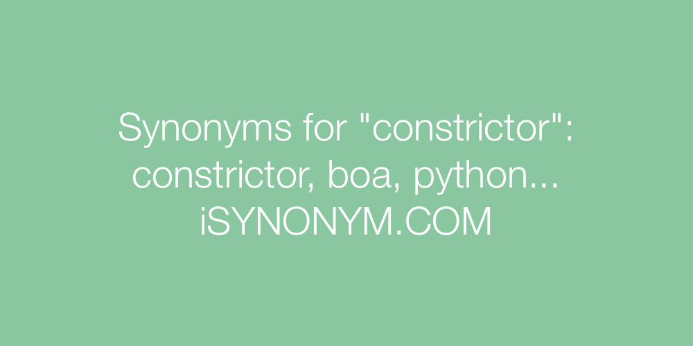 Synonyms constrictor