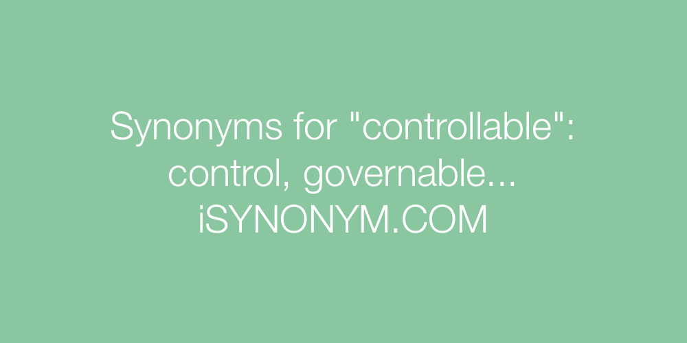 Synonyms controllable