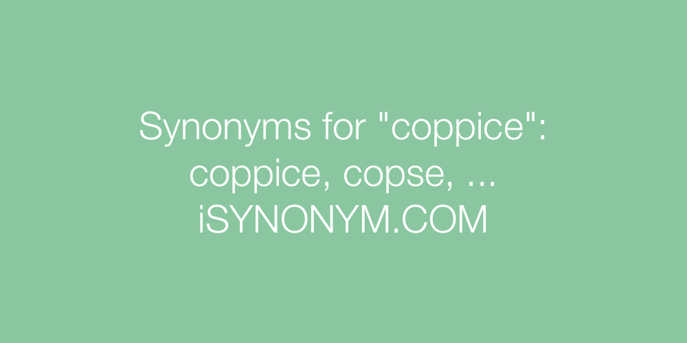 Synonyms coppice