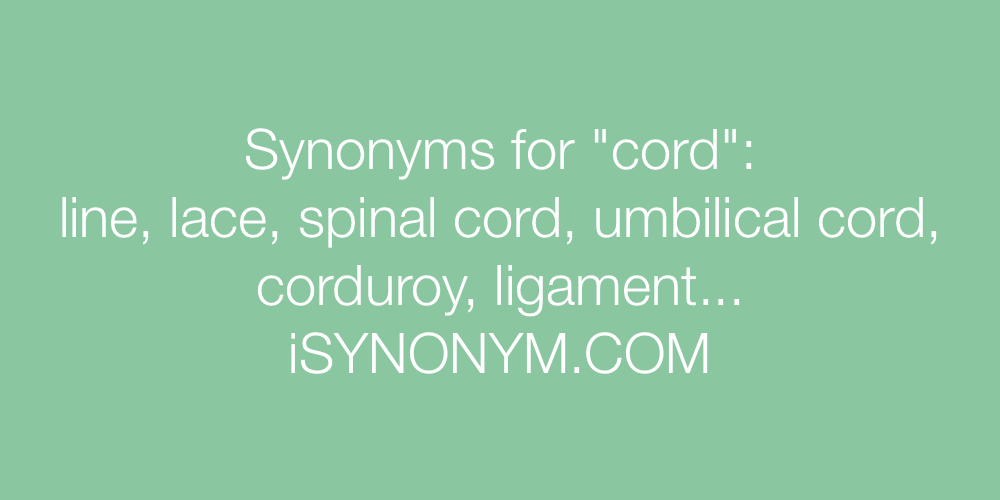 Synonyms cord