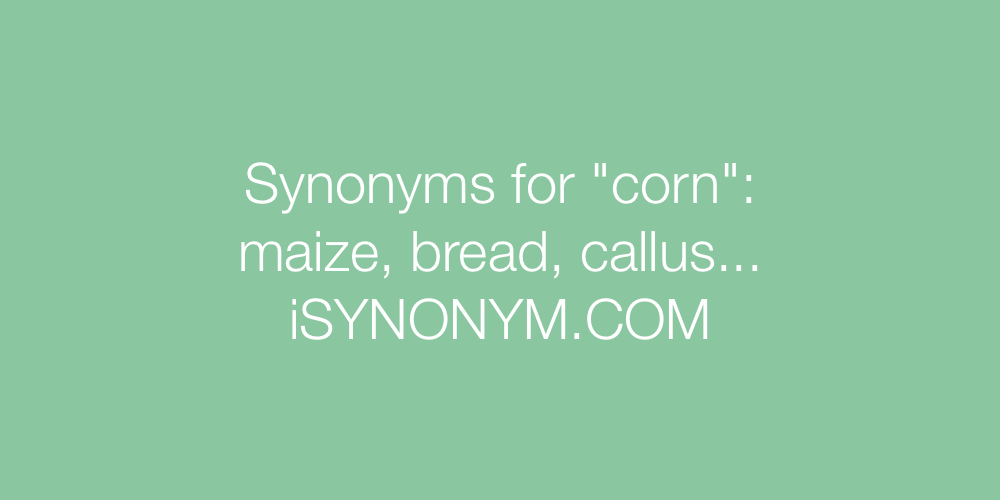 Synonyms corn
