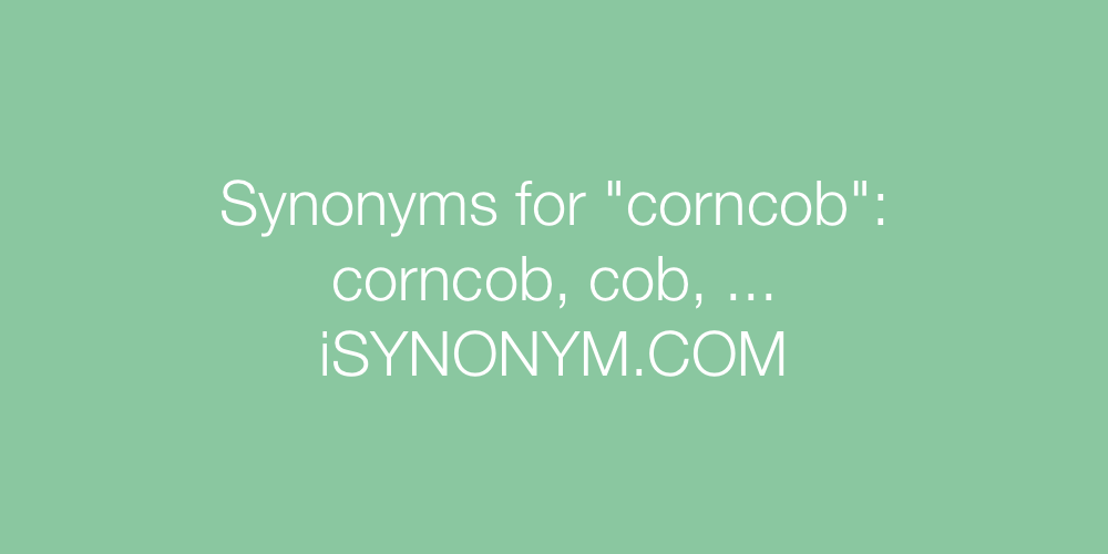 Synonyms corncob